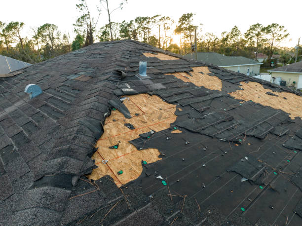 Best Gutter Installation and Repair  in Landover, MD